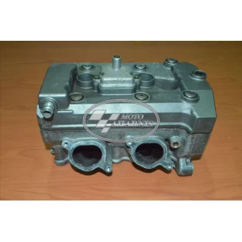 ΚΕΦΑΛΗ TDM 900 