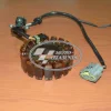ΠΗΝΙΑ TDM 900 
