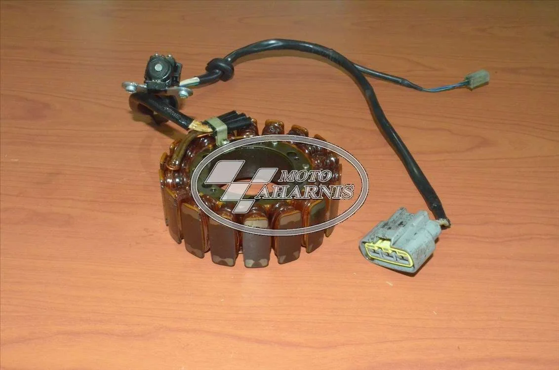 ΠΗΝΙΑ TDM 900 