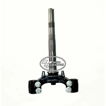 ΣΤΑΥΡΟΣ CRYPTON T-110C