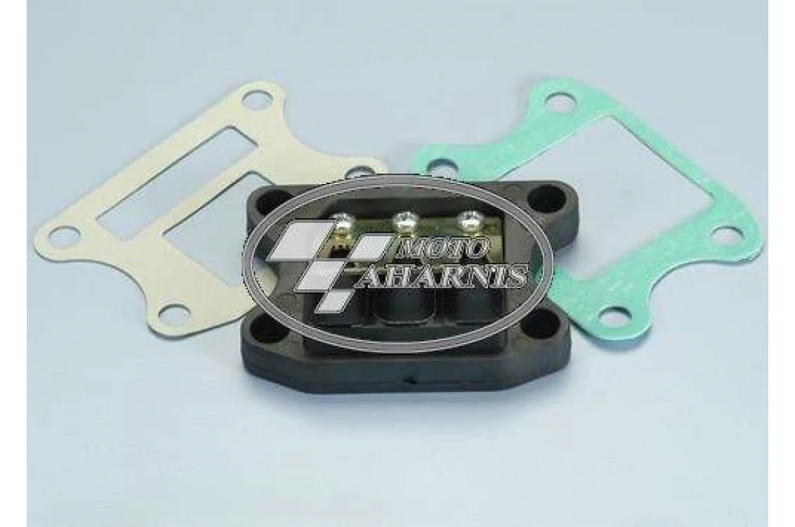 REED VALVE SYM DD