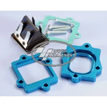 REED VALVE EVOLUTION