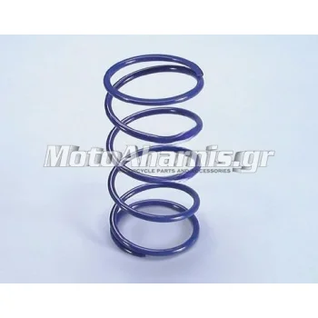 ΕΛΑΤΗΡΙO ΣΙΑΓΩΝΑΣ ΦΥΓΟΚΕΝΤΡΙΚΟΥ SUZUKI BURGMAN 400 POLINI