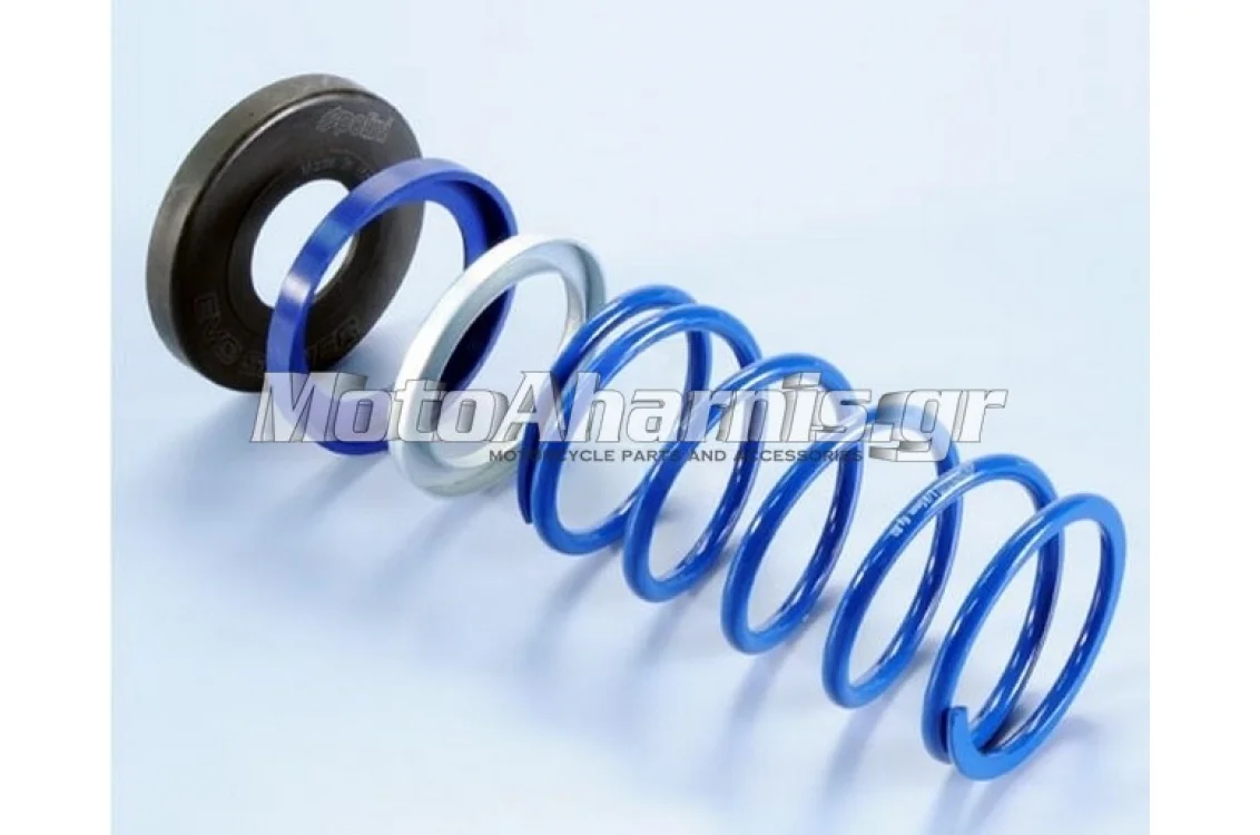 ΕΛΑΤΗΡΙΑ ΚΑΜΠΑΝΑΣ ΦΥΓΚΕΝΤΡΙΚΟΥ ΜΕ SLIDER T-MAX 500 530 560 560 E5 EVO POLINI