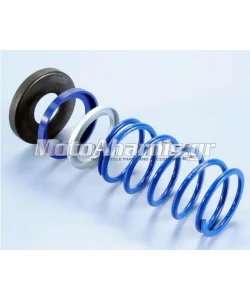 ΕΛΑΤΗΡΙΑ ΚΑΜΠΑΝΑΣ ΦΥΓΚΕΝΤΡΙΚΟΥ ΜΕ SLIDER T-MAX 500 530 560 560 E5 EVO POLINI