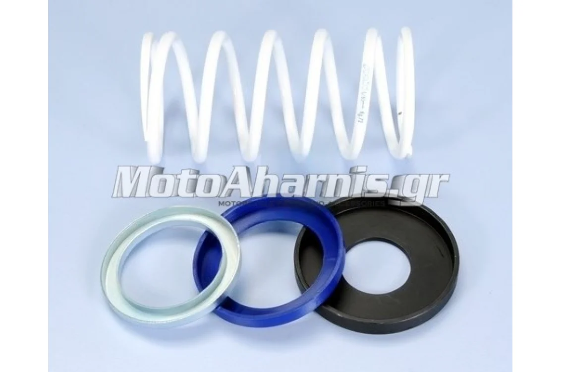 ΕΛΑΤΗΡΙΑ ΚΑΜΠΑΝΑΣ ΦΥΓΟΚΕΝΤΡΙΚΟΥ ΜΕ SLIDER T-MAX 500 EVO 2001 11