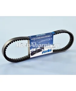 ΙΜΑΝΤΑΣ X MAX 250 POLINI