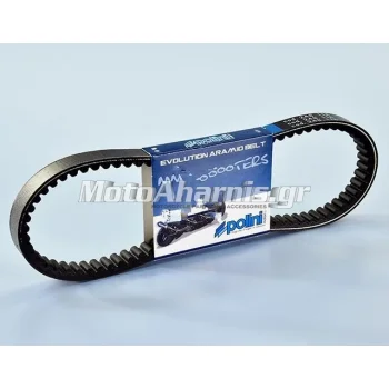 ΙΜΑΝΤΑΣ X MAX 250 POLINI