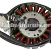 ΠΗΝΙΑ DAYTONA DY 125 RS EFI E4 E5