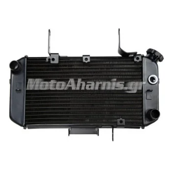 ΨΥΓΕΙΟ ΝΕΡΟΥ SUZUKI V-STROM 2004 11