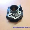 ΚΥΛΙΝΔΡΟΣ LIFAN 100 Α 50